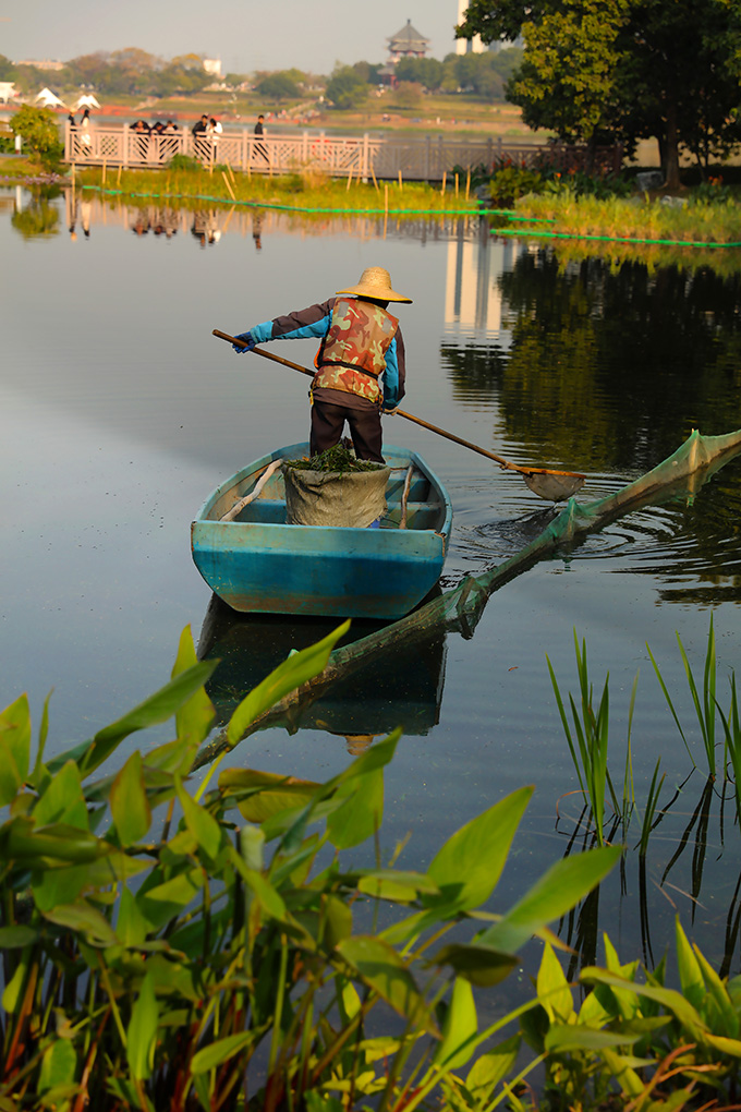 白云湖公园清理湖面垃圾的卫工人